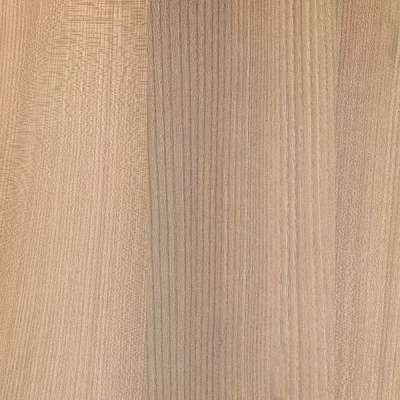 Woods elm