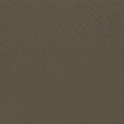 Soft Leather 03 Nocciola