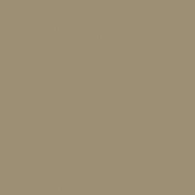 Champagne matt painted Mat lacquered Champagne 