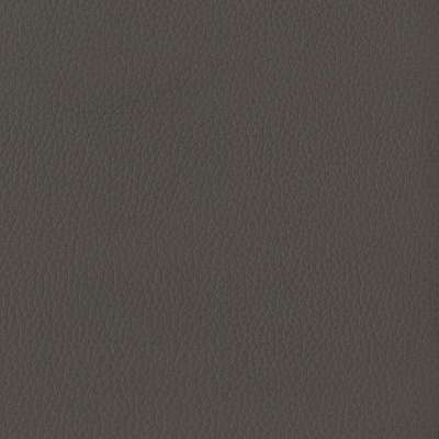 Tecnocover grain 01 elefante