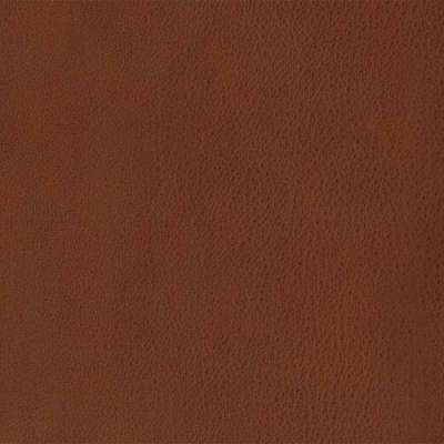 Pelle Special 60 bulgaro