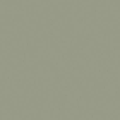 Embossed Lacquered 64 arena