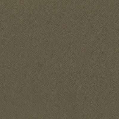 Spring Leather 5504 tortora