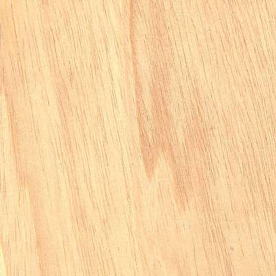 Woods Cedar