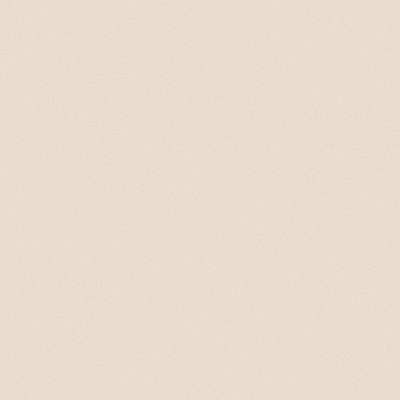 Corian bone