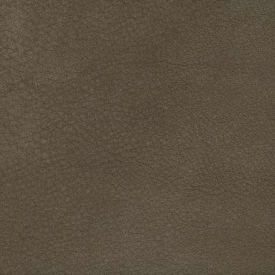 Nabuk leather 07 camoscio