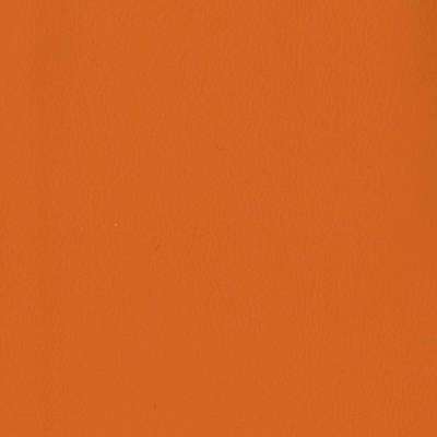 Colors Leather 184 zucca