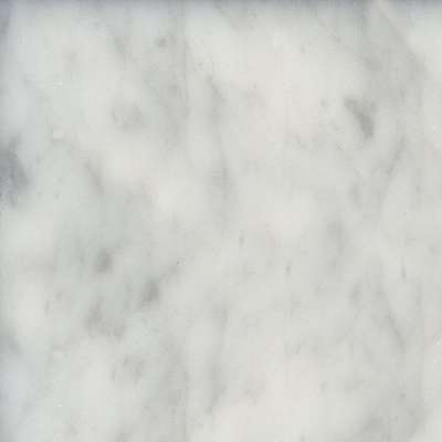 Marble bianco carrara levigato